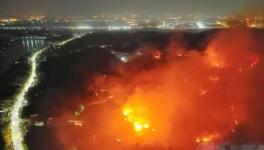 突發大火，明火蔓延！涉及兩家水泥企業！