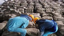 大事！砌筑32.5、P.P、P.F、P.S.A 32.5水泥全部取消！這個省動真格！