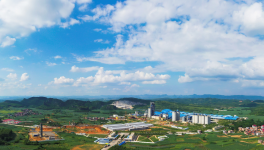 乘勢而起求發展  步步為營謀布局——虎鷹集團發展紀略