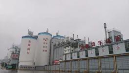 強(qiáng)手如林中拔得頭籌！這家水泥企業(yè)年利潤超3億元！