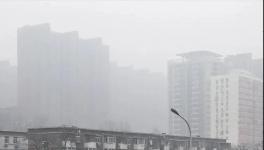 停工停產一個月！霧霾還是爆表！3000多家水泥企業“冤不冤”?