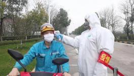 視頻：無人駕駛調試、大型設備組裝......蕪湖海螺復產！