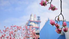 春色滿廠區，花園水泥廠來了！！