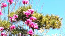 復工復產進行時：詩韻畫卷里的洛陽中聯！