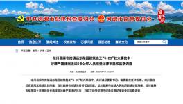 8死1傷事故，5名公職人員涉違紀被調查！