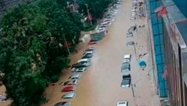 立即撤離！15個省市緊急預警！水泥價格集體下跌！