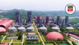 行情回暖！水泥量價齊升博反彈！