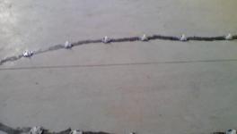 發明！自我修復混凝土，房子200年不裂！