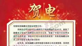 又是海螺水泥！創造世界水泥行業奇跡！