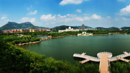 山東省棗莊市51條水泥立窯生產線全部關停！