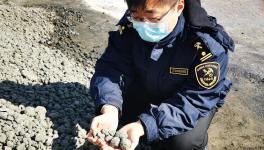 順利通關！4萬多噸韓國熟料進入中國！