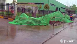 臭味重、蚊蟲多！華新水泥被舉報！