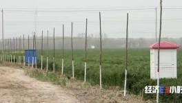 水泥墻里塞泡沫？投資千萬“樣子工程”！