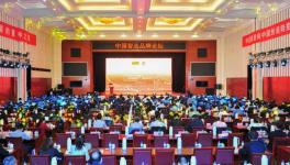 中建材在全球承接379條水泥生產線、市場占有率超過65%！