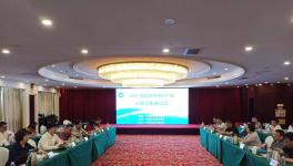 為綠色發展！研究硫鋁酸鹽特種水泥！