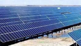 跨界投資！有關海螺、塔牌、紅獅等水泥集團！