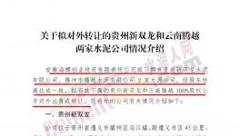 海螺創業擬對外轉讓這兩家公司100%股權！