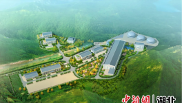 水泥行業“特種兵”，六大系列28個品種！