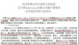 冀東水泥旗下公司破產清算！選聘專業機構