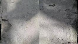 春江豐華水泥質量不合格！多地監管部門全面督查！