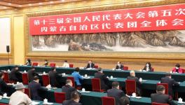 有序推進碳達峰碳中和，向運動式減碳堅決說“不”！