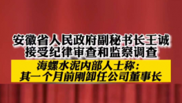 立案！海螺、华新、华润等多位高管被查！