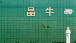 世界首創銅鋁硅膨化微晶在晶牛誕生