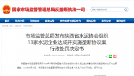 陜西水泥協會及13家水泥企業被罰4.51億！