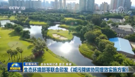 環保政策加嚴！氨逃逸不超標這些企業做到了！